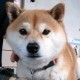 あやかり